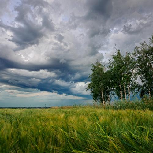 Фотография #4698120