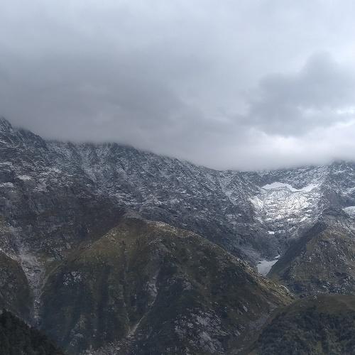 Photo #4698302