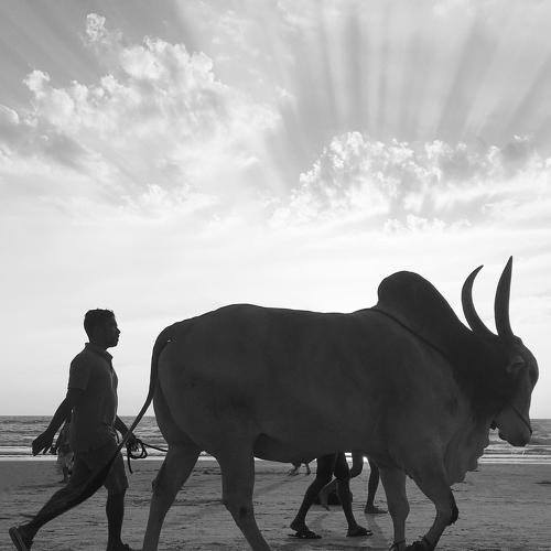 India