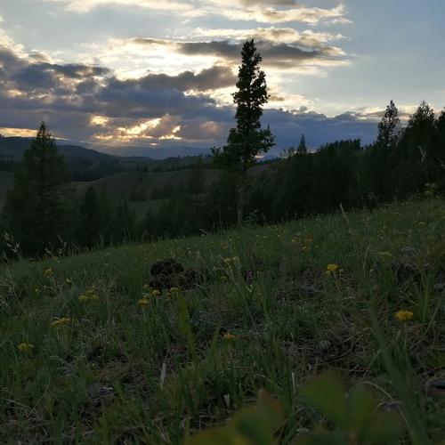 Photo #4698382
