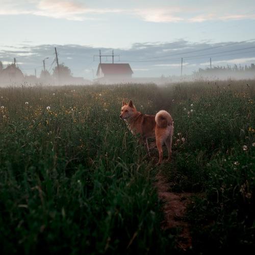 Photo #4698539