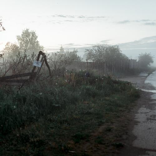 Photo #4698542