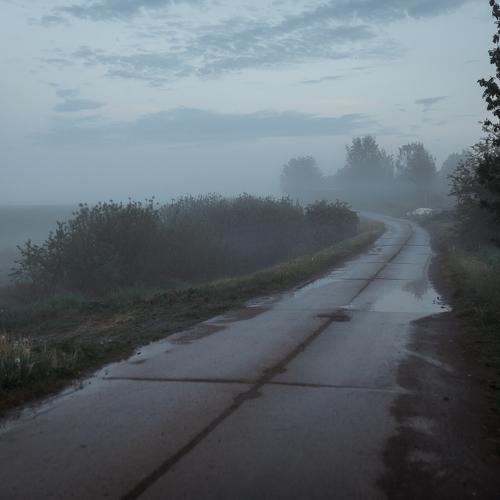 Photo #4698544