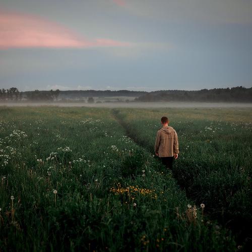 Photo #4698548