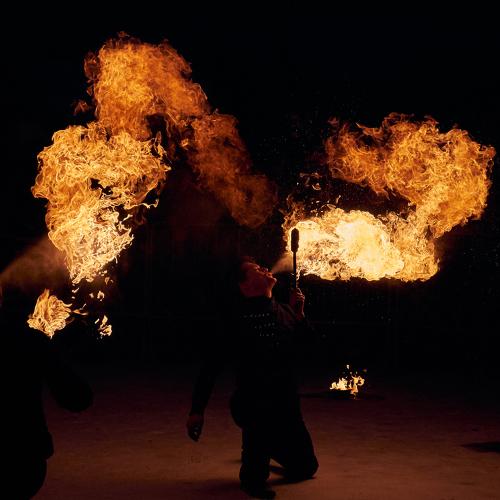 Photo #4698589