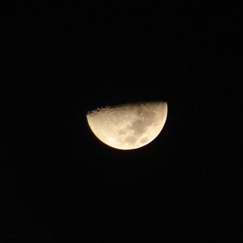 Moonlight