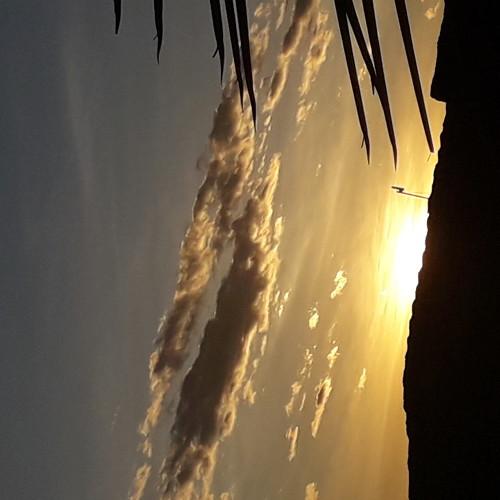 heavenly show