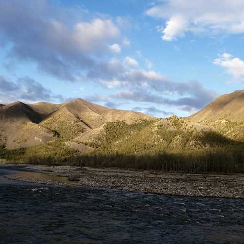 Photo #4699015
