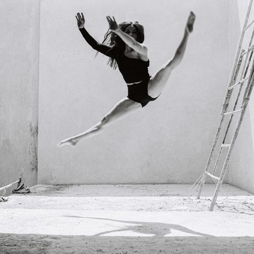 Photo #4699441