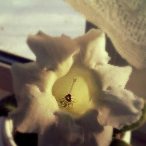 Photo #4700426