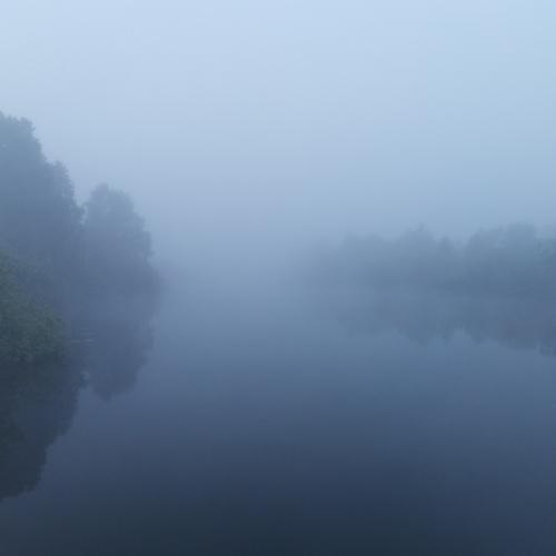 Photo #4700431