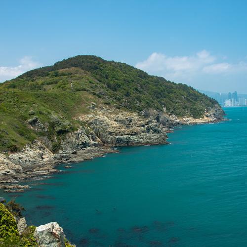 Photo #4700541