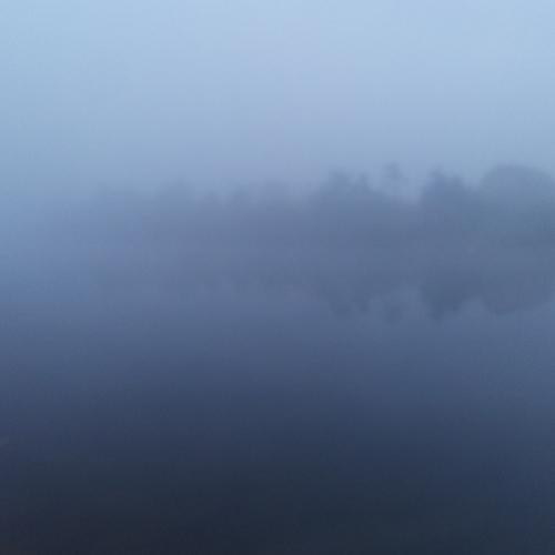 Photo #4700563