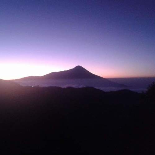Photo #4700572