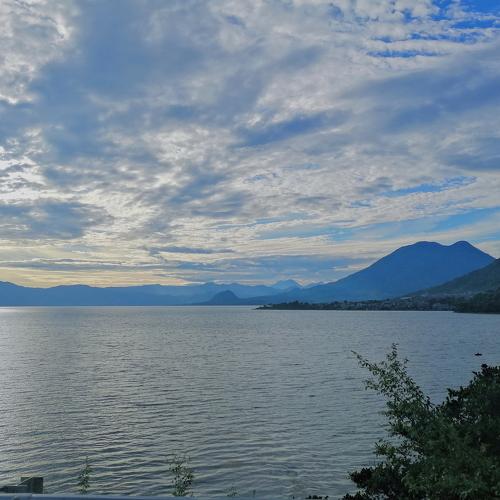 Photo #4700836