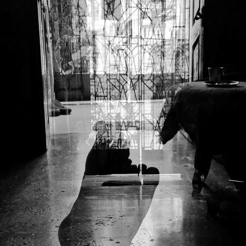 Photo #4701068