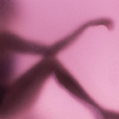 Photo #4701106