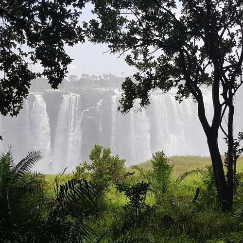 Photo #4701286
