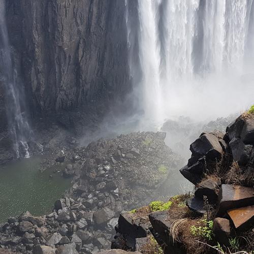 Photo #4701351