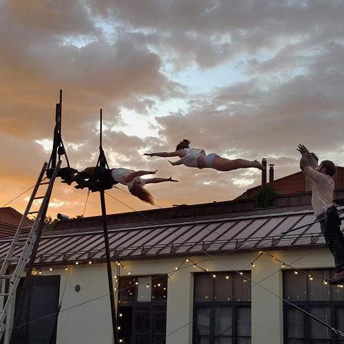 Photo #4701865