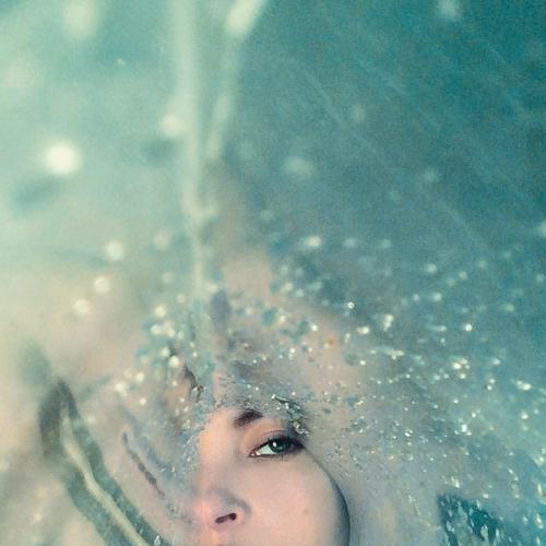 Photo #4701874