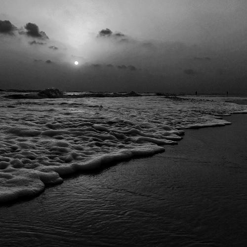 Photo #4702059