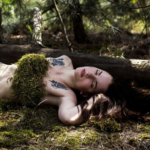 Photo #4702336