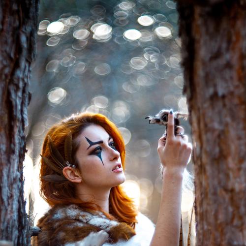 Photo #4702346