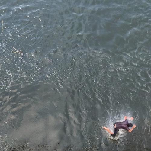 Photo #4702455