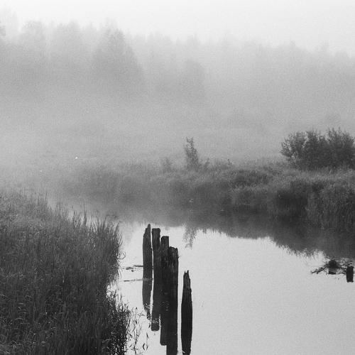 Photo #4702500
