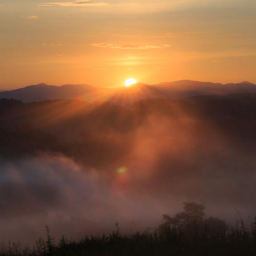 Photo #4702575