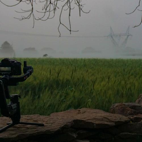 Photo #4702706