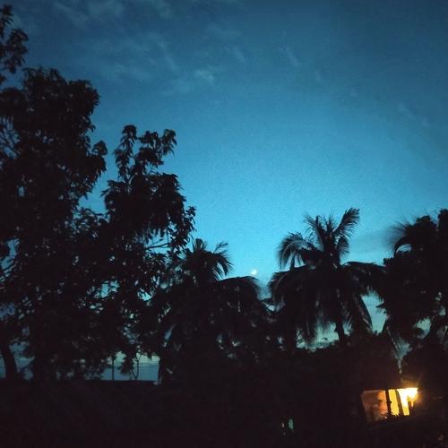 Photo #4702786