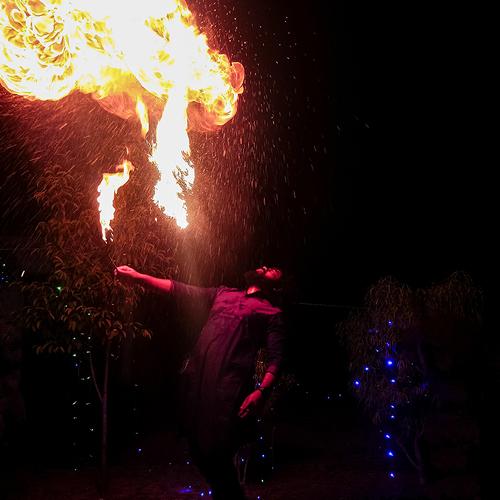 Photo #4702813
