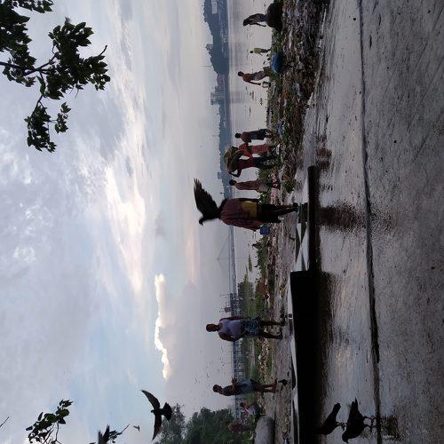 Photo #4702871