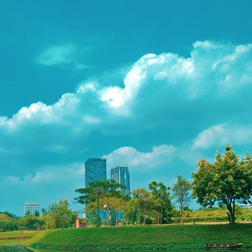 Photo #4702908
