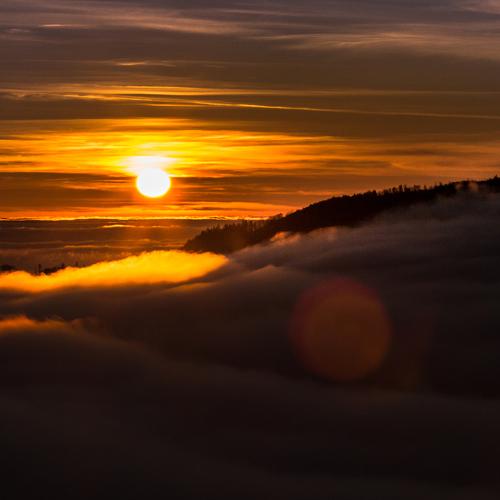 Photo #4703233