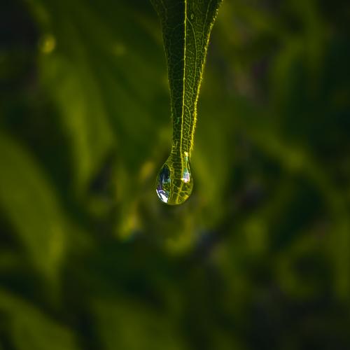 Photo #4703249