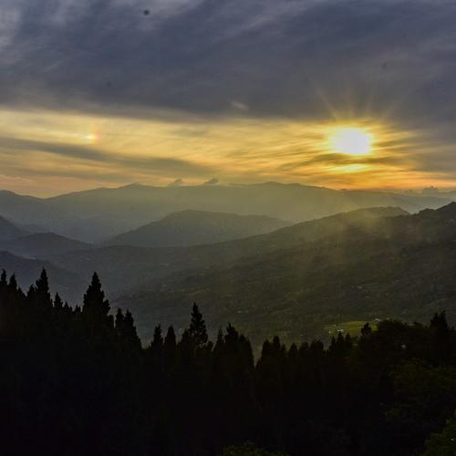 Photo #4703272