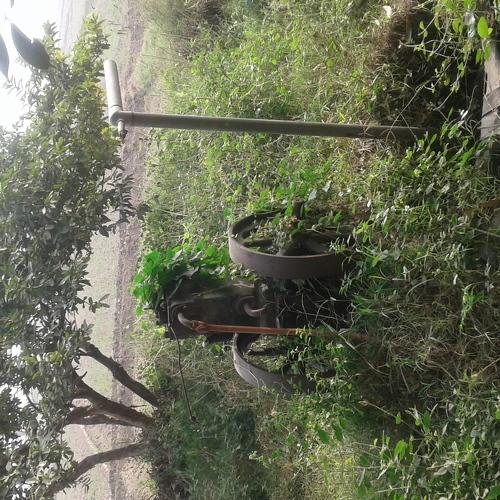 Photo #4703283