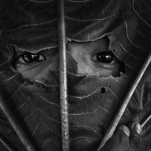 Photo #4703419