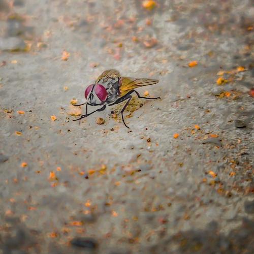 Fly for your next vacation