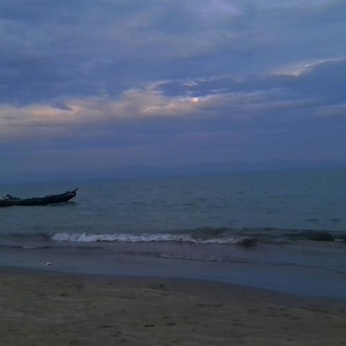 Photo #4703684