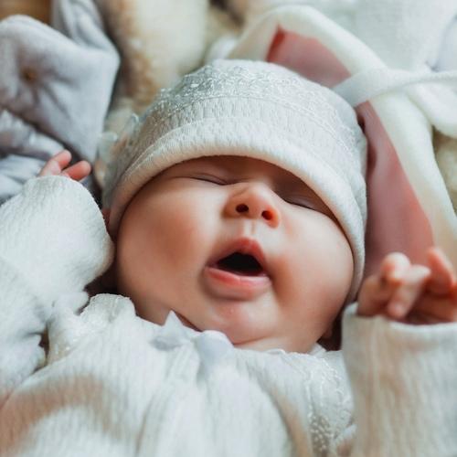 Photo #4703739