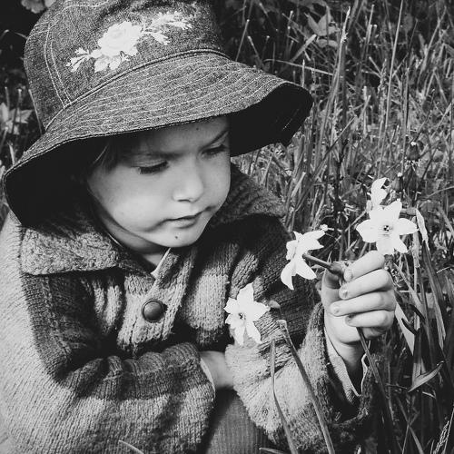 Photo #4703804