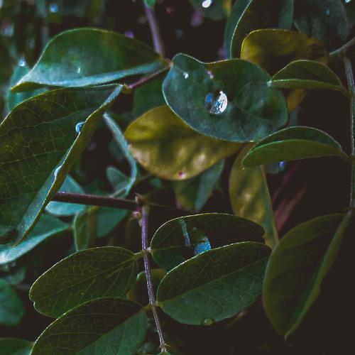 Photo #4703825