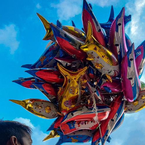Photo #4703877