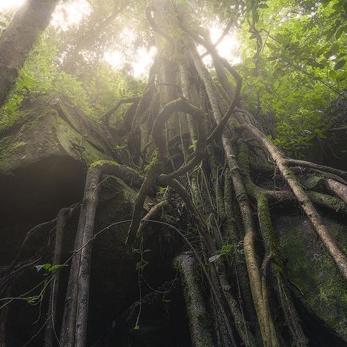 Photo #4703964