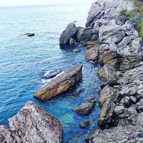 Photo #4704022
