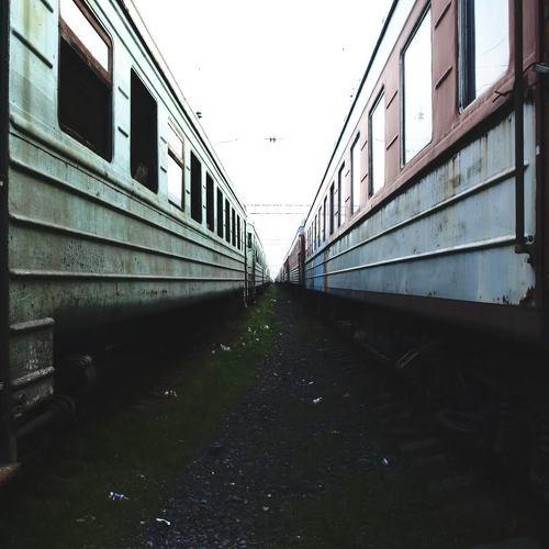 Photo #4704056